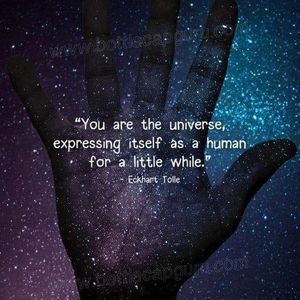 Meet your Posher, Marisa